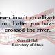 [No.28] Cordell Hull on Insults